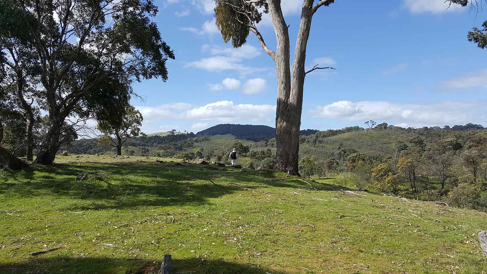Clifftop at Hepburn Luxury in Hepburn Springs