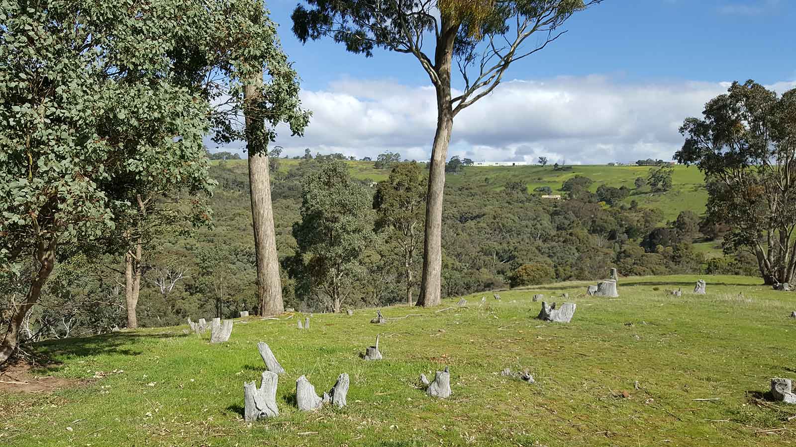 Clifftop at Hepburn Luxury in Hepburn Springs